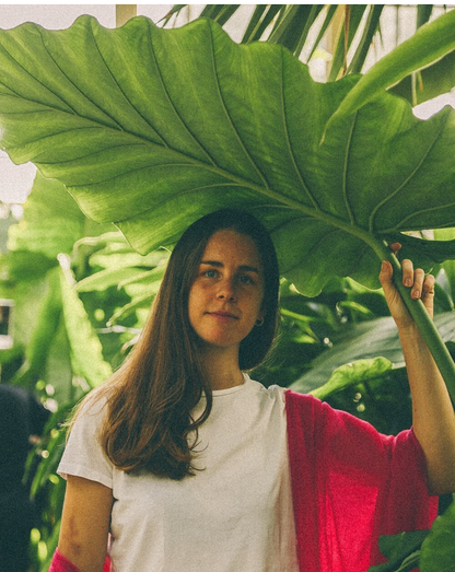 CHAL LISO CASHMERE FUCSIA