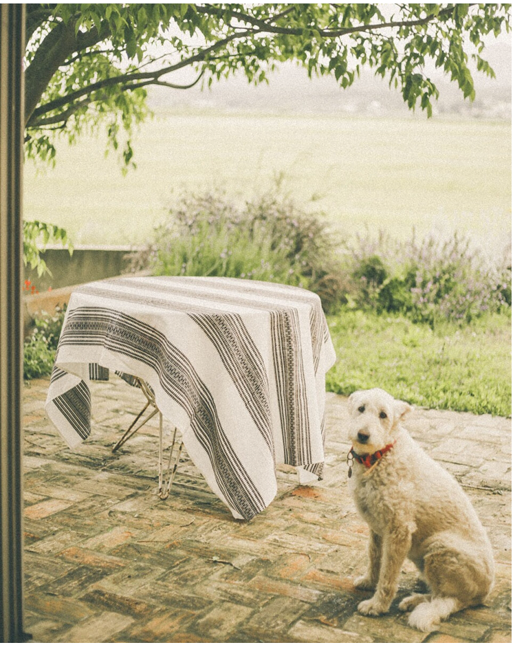 MANTEL DE ALGODÓN CENEFAS MARRONES 180x100cm